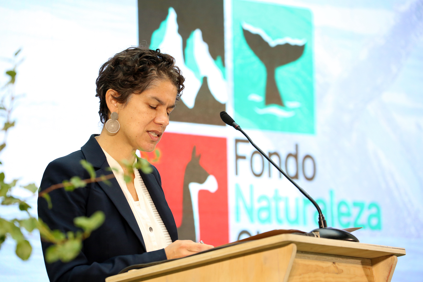 La ministra de Medio Ambiente de Chile, Maisa Rojas, hablando en el evento de lanzamiento el 4 de abril en Santiago. Foto: Fondo Naturaleza Chile